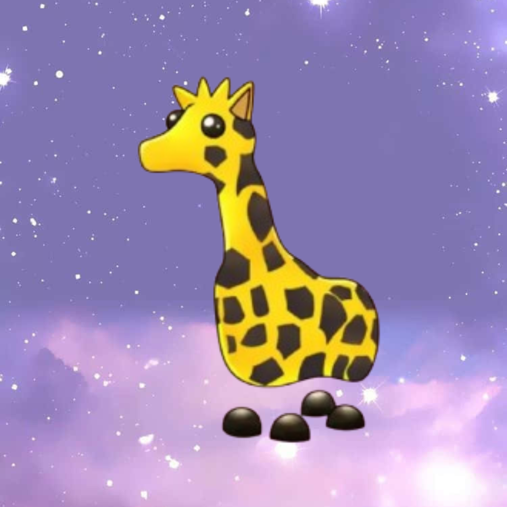 Giraffe - FR