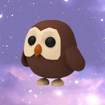 Owl - FR