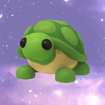 Turtle - FR