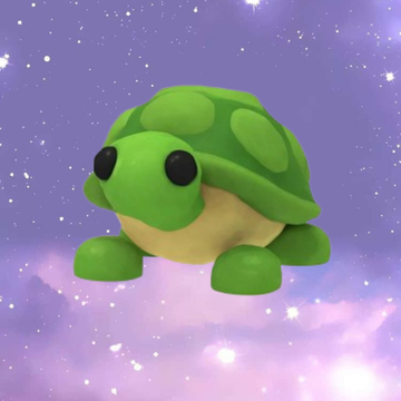 Turtle - NFR