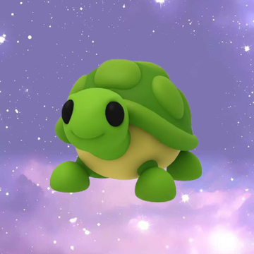Turtle - MFR