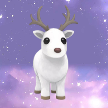 Arctic Reindeer - FR