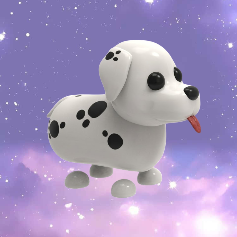 Dalmatian - FR